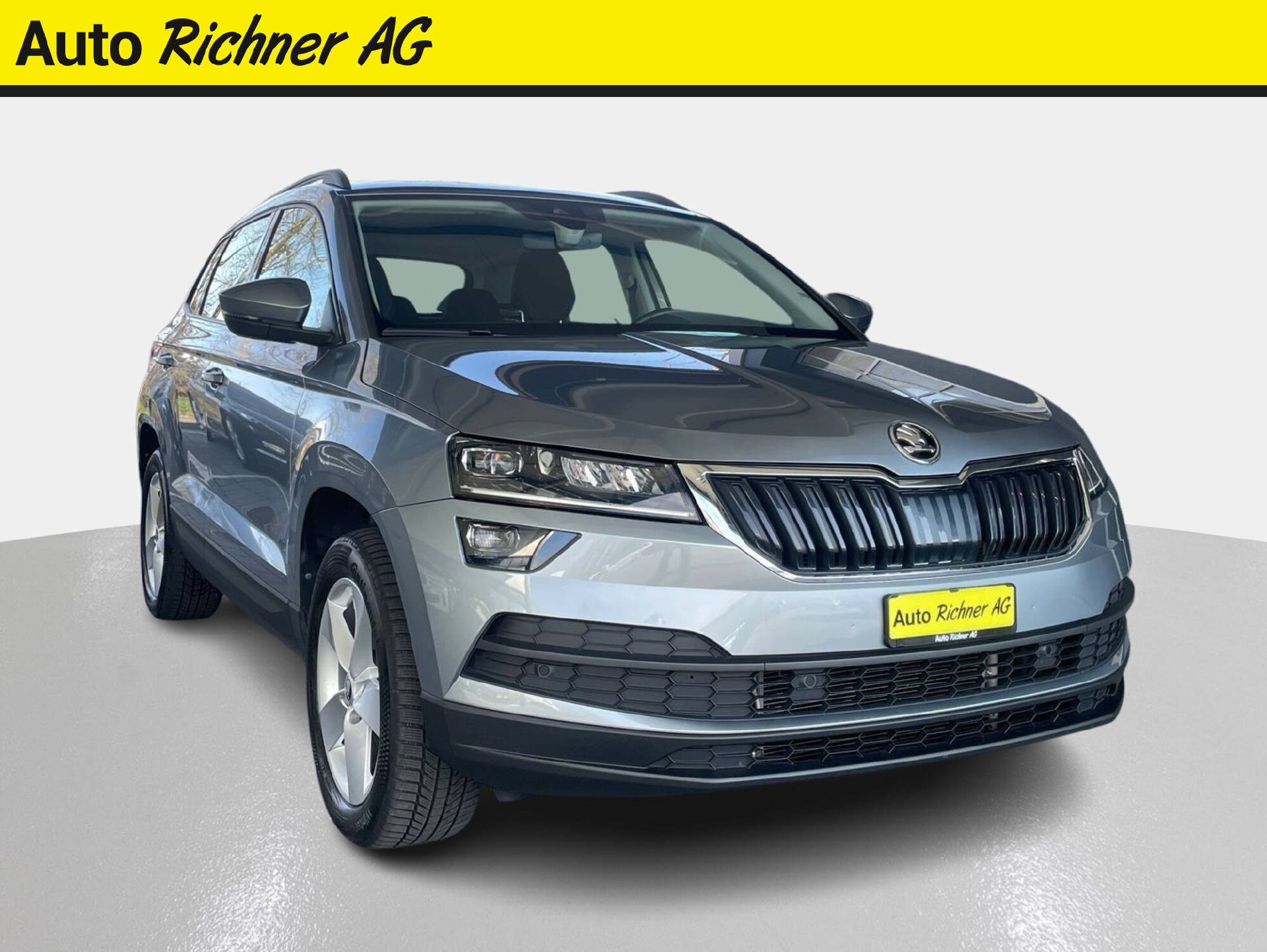 SKODA Karoq 2.0 TDI Ambition 4x4 DSG - Auto Richner AG - Verkaufsfiliale in Arbon | Carrosserie & Werkstatt in Steinach