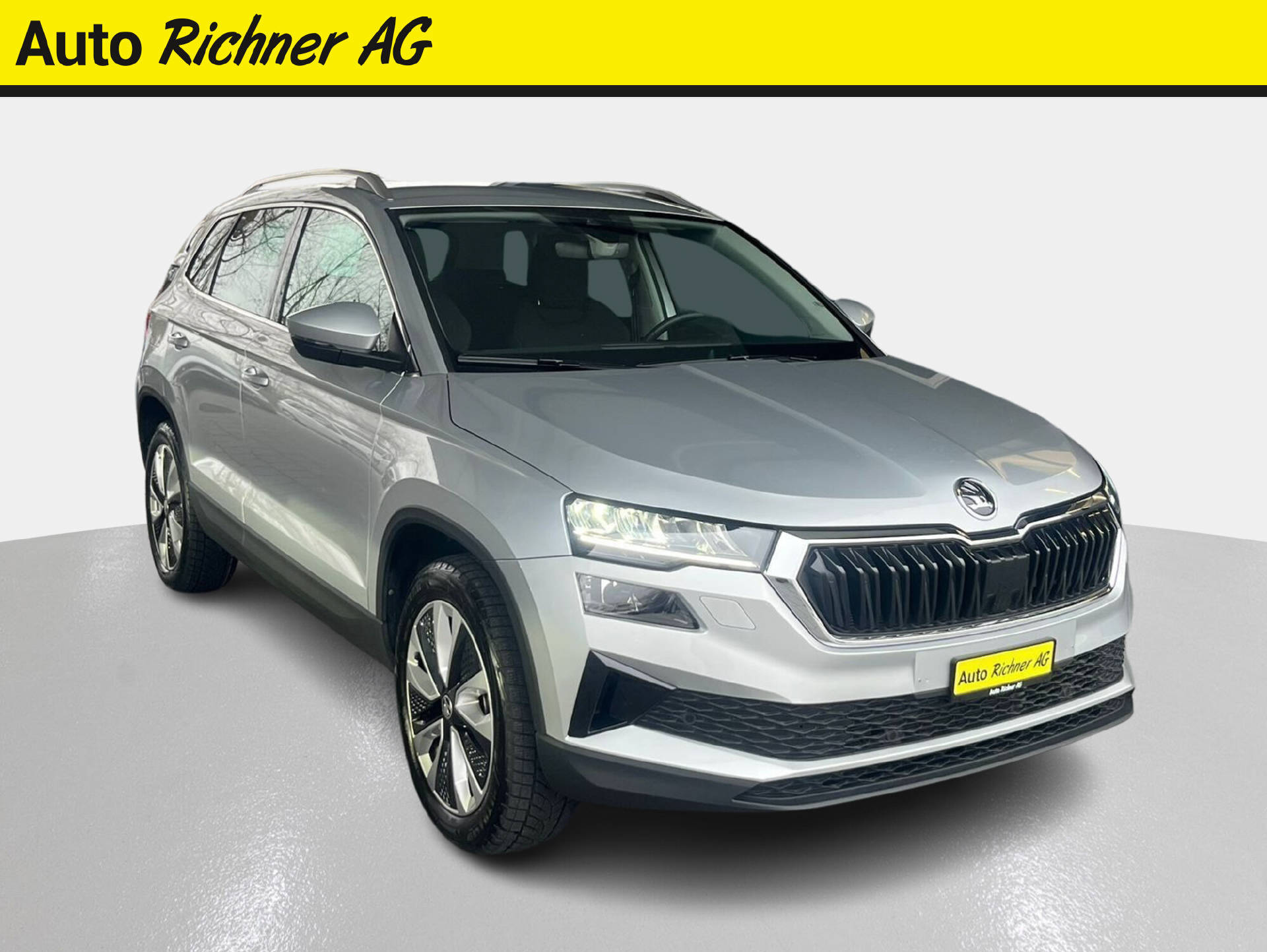 SKODA Karoq 1.5 TSI Selection DSG - Auto Richner AG - Verkaufsfiliale in Arbon | Carrosserie & Werkstatt in Steinach