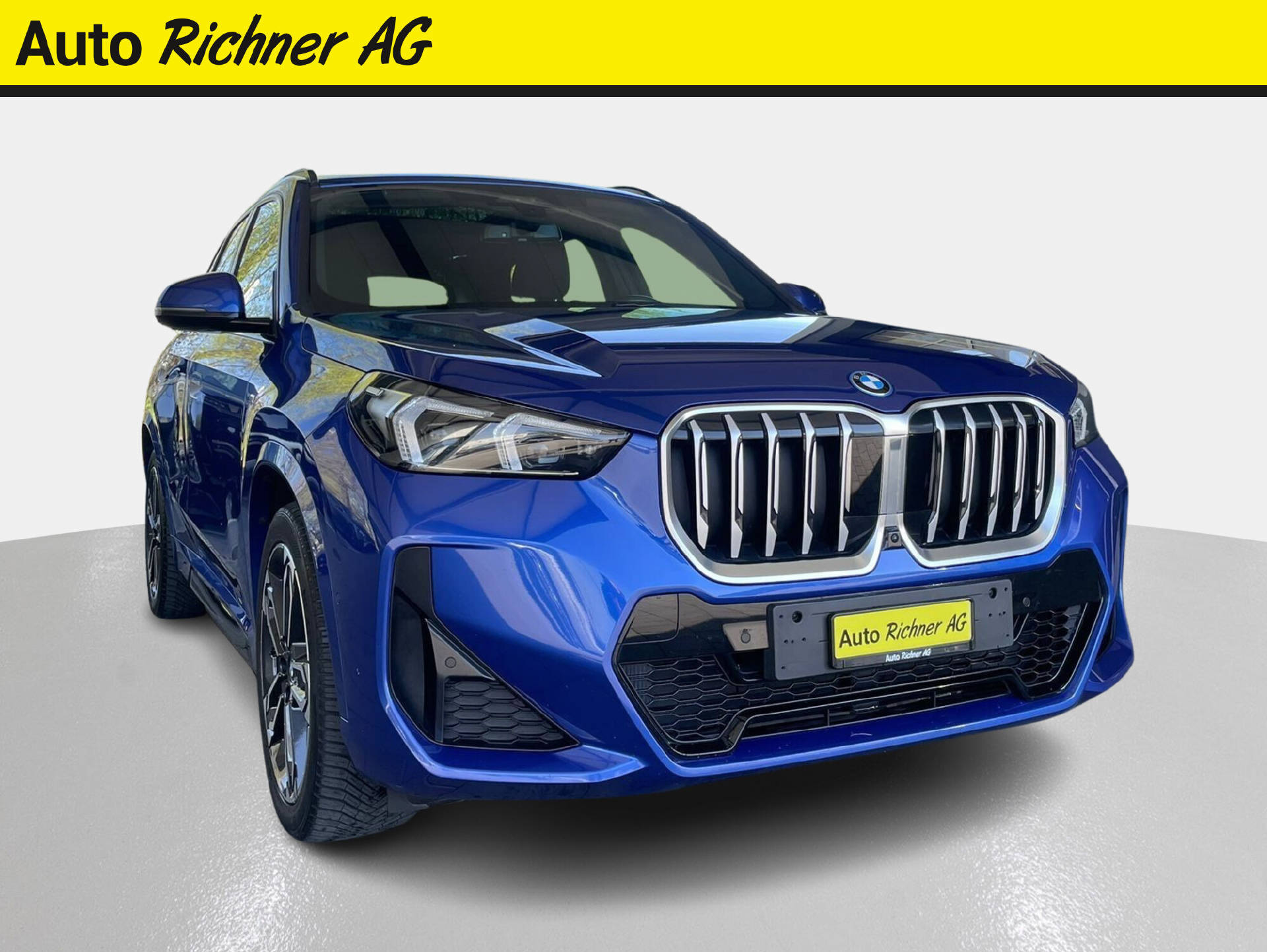 BMW X1 25e xDrive paddles - Auto Richner AG - Verkaufsfiliale in Arbon | Carrosserie & Werkstatt in Steinach