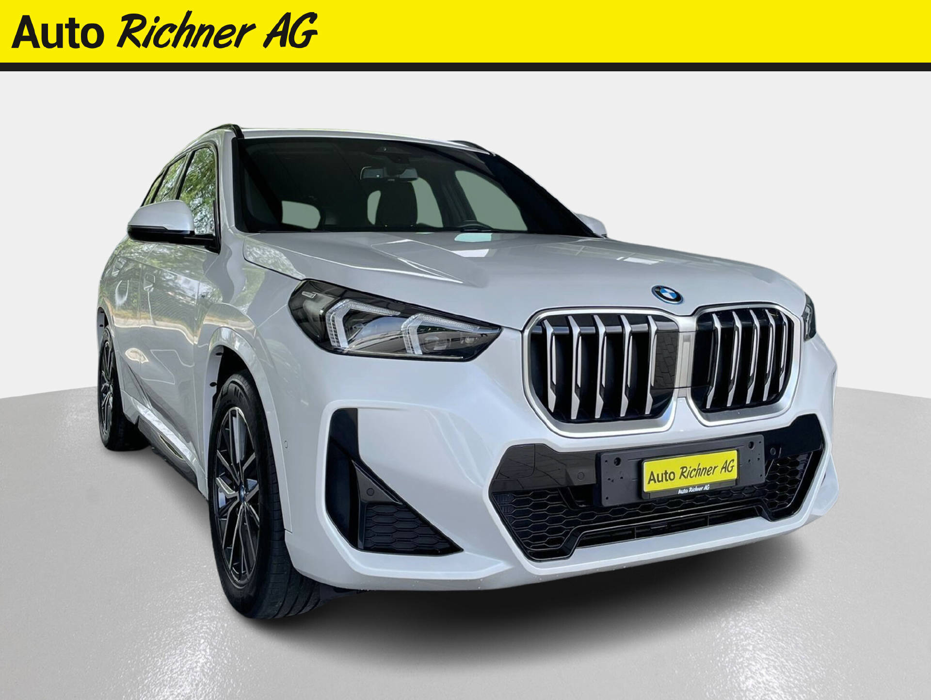BMW X1 25e xDrive paddles - Auto Richner AG - Verkaufsfiliale in Arbon | Carrosserie & Werkstatt in Steinach 1
