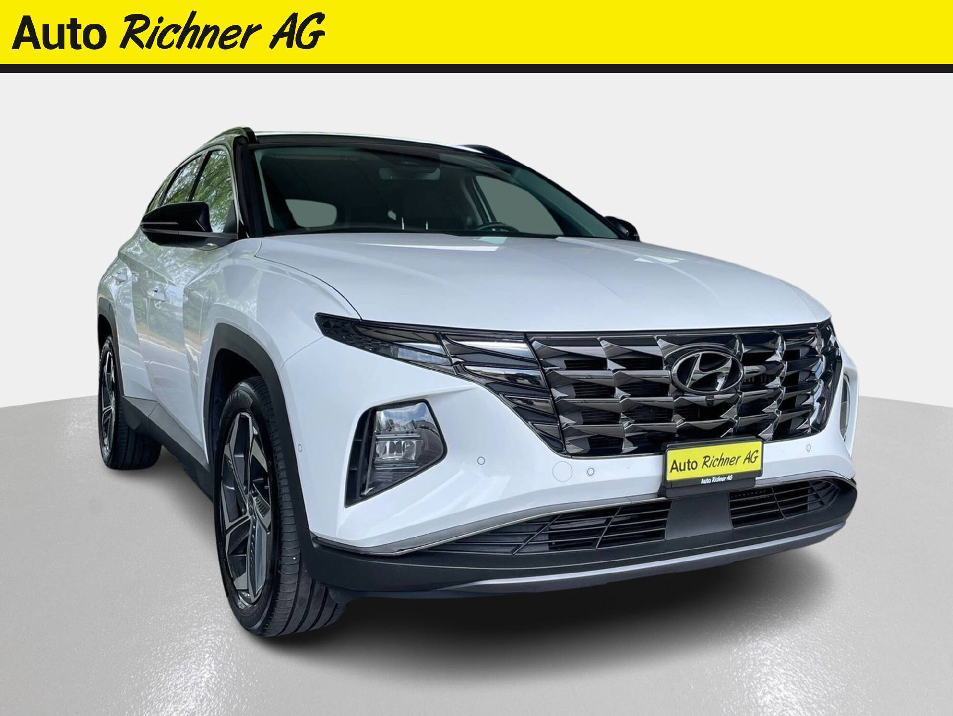 HYUNDAI Tucson 1.6 T-GDi HEV Vertex 4WD - Auto Richner AG - Verkaufsfiliale in Arbon | Carrosserie & Werkstatt in Steinach