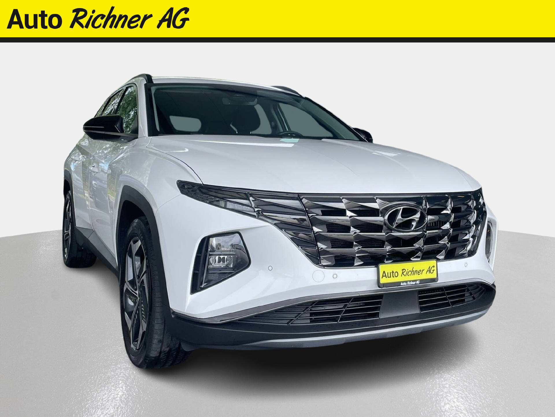 HYUNDAI Tucson 1.6 T-GDi HEV Origo 4WD - Auto Richner AG - Verkaufsfiliale in Arbon | Carrosserie & Werkstatt in Steinach